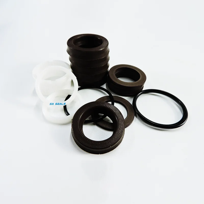 Hawk Standard Model Repair Parts Customizable Size Plunger Pump with Water and Oil Seal Check Valve Essential for Sealing Genre