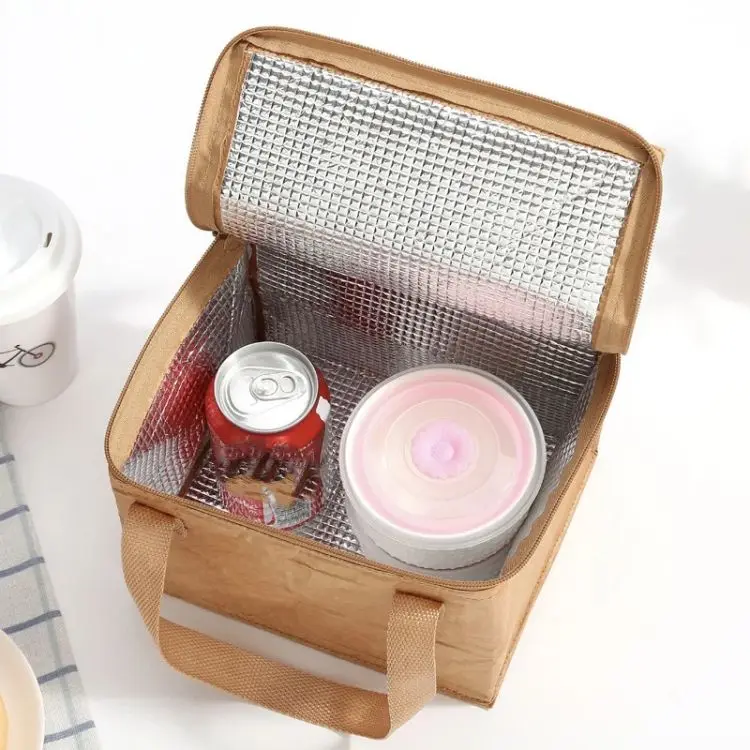 New Design Waterproof Frozen Lunch Bag For Children Dupont Paper Kraft Paper Lunch Bag For Adults