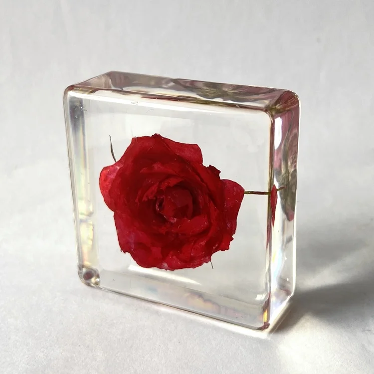 Beautiful Dried Flower Clear Crystal Wall Decor Chinese Rose Paperweight for Exhibition