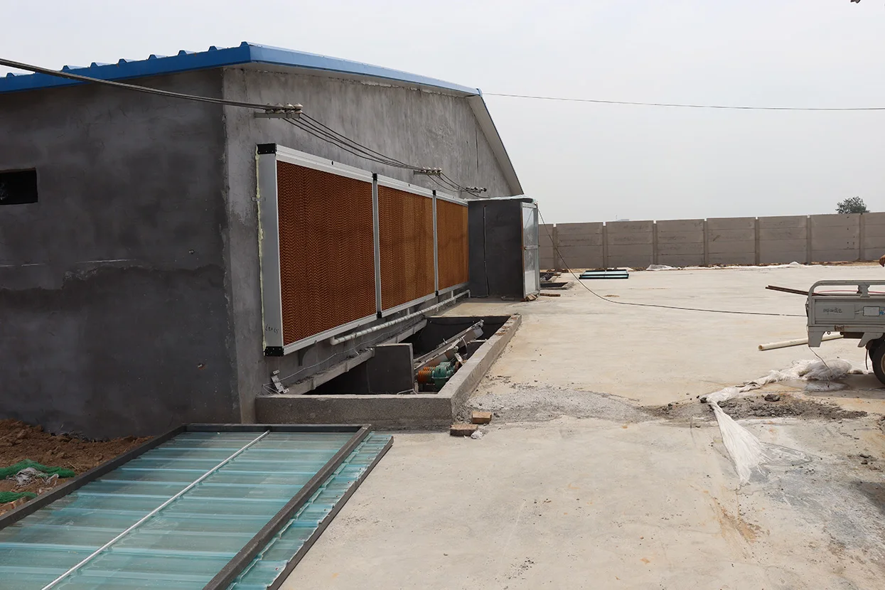 High-quality cooling pads are used for ventilation and cooling of chicken houses