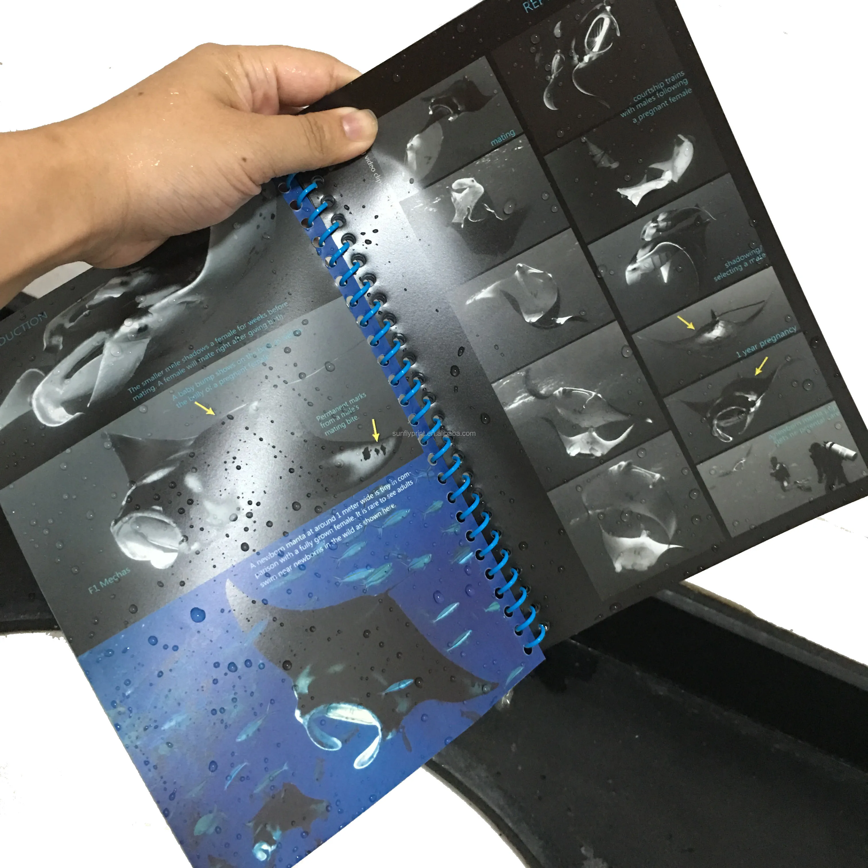 Tyvek paper On Demand Print  waterproof booklet printing/ professional magazine photo book  cheap brochure printing services