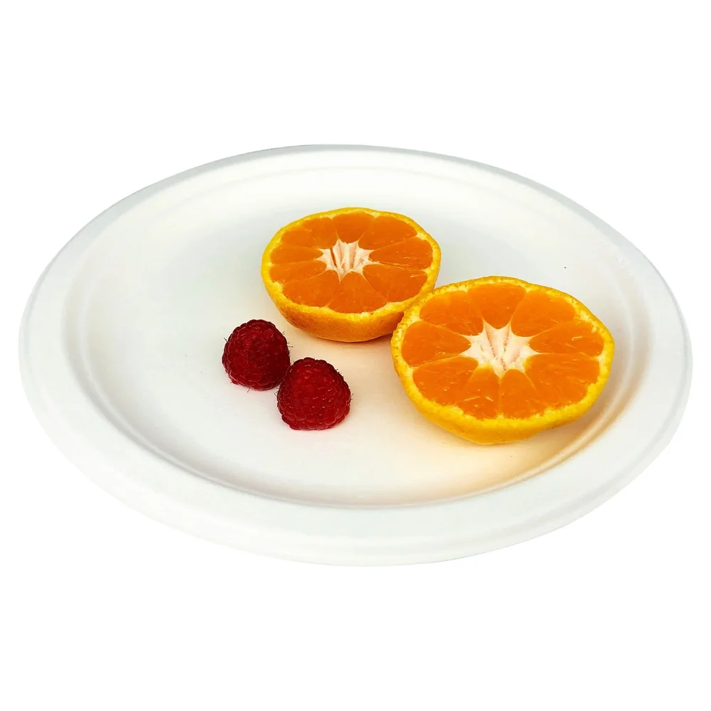 Widely Used Superior Quality Biodegradable Food Flat Plate Disposable Plates Sugarcane Bagasse Food Plates 6 inch