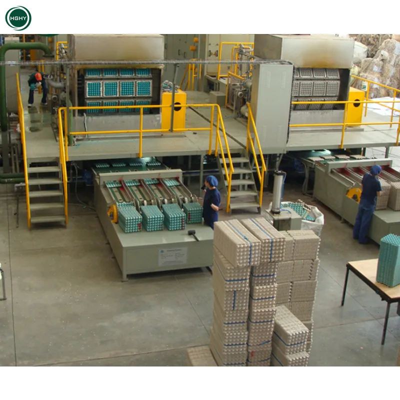 Hghy Cheap Make Egg Boxes Carton Plate Machinery Waste Paper Pulp Molding Recycling Production Line Egg Tray Making Machine