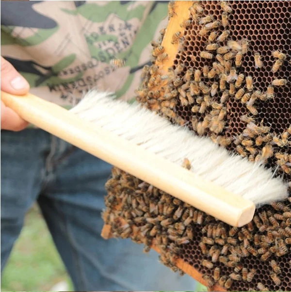 Apiculture Beekeeping tools Plastic Hair Bee Brush Wooden Handle Honey Comb Tools Remove Bees for bee brush