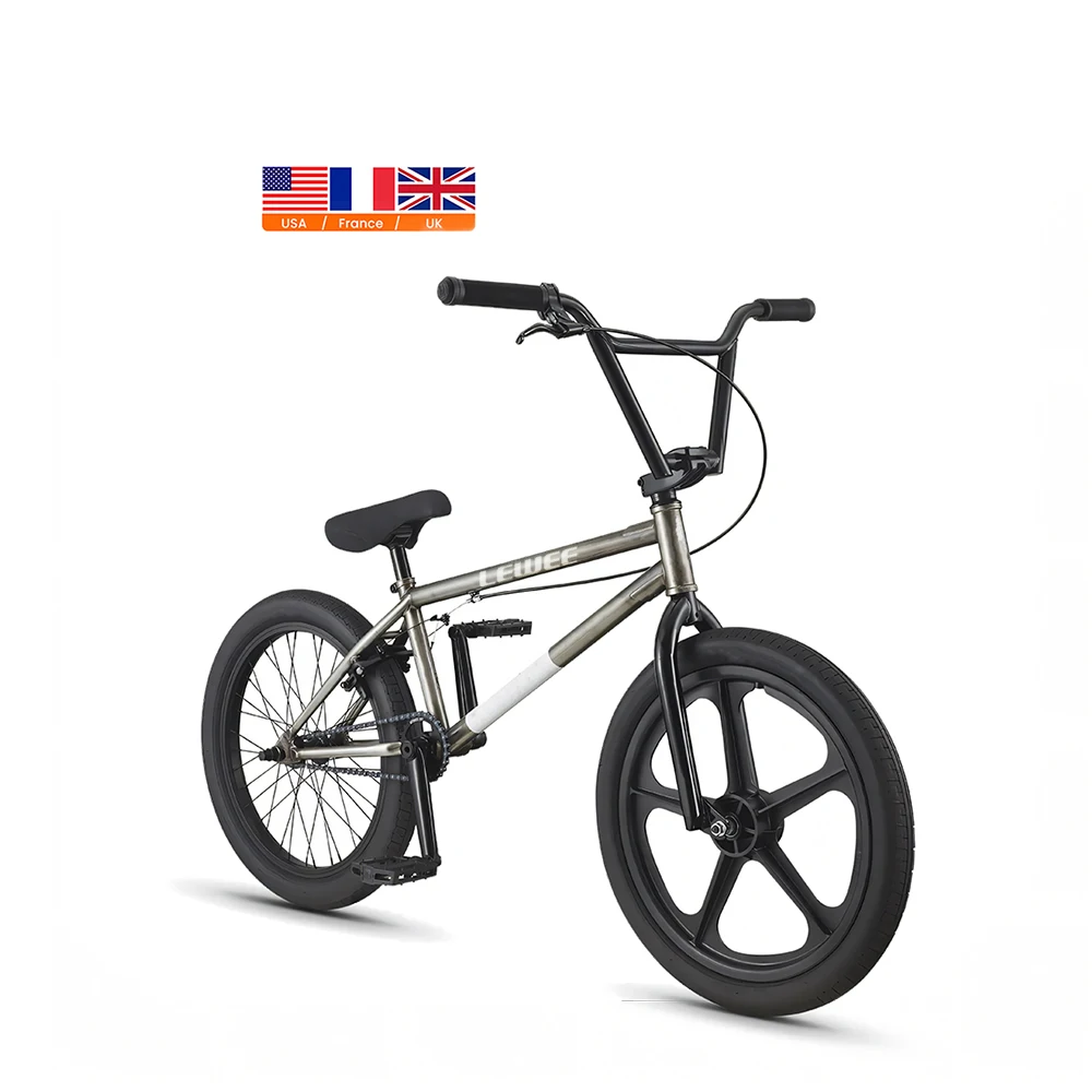 Good quality BMX 20 inch Skyway Sealed Front Mag Wheel Alloy Sealed 9T Cassette with Double Wall Rim stunt bicycle for adult