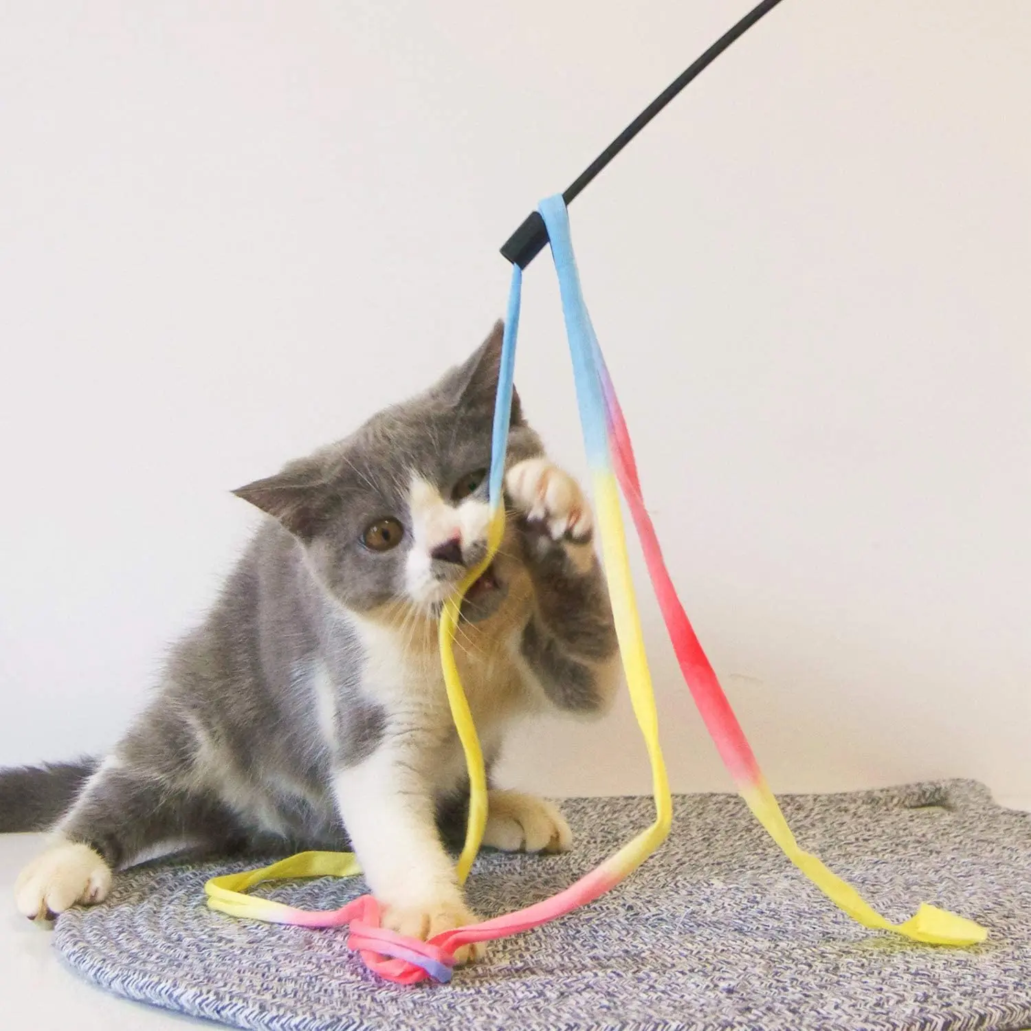 Retractable Cat Wand Toys,12 Packs Interactive Cat Feather Toy,9 Assorted Teaser Refills with Bell for Cat,Kitten