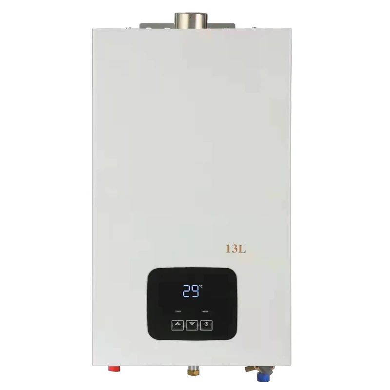 Golden Supplier Delicate Appearance Commercial Industrial Industri Instant Gass Gas Boiler Water Heater