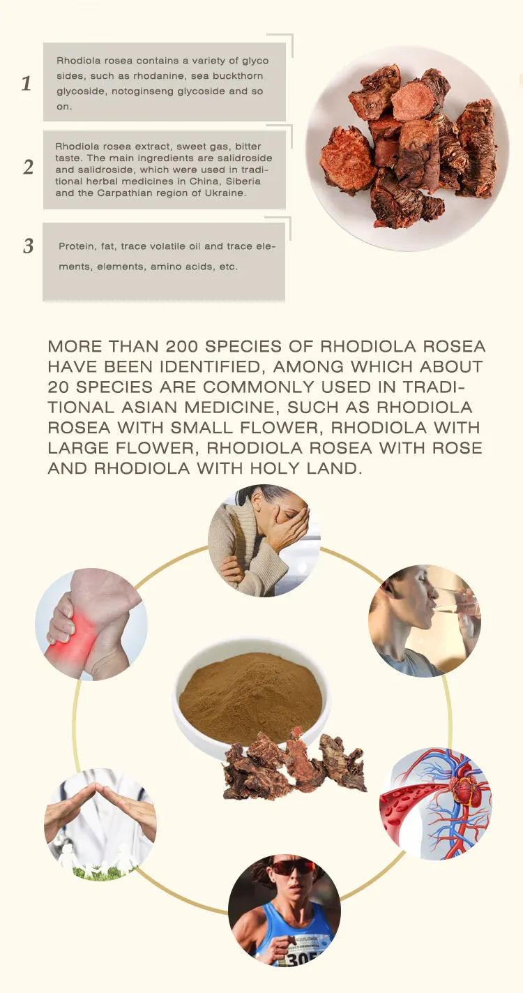 High Quality Salidroside Powder Rhodiola Rosea Root Extract Powder Rhodiola Rosea