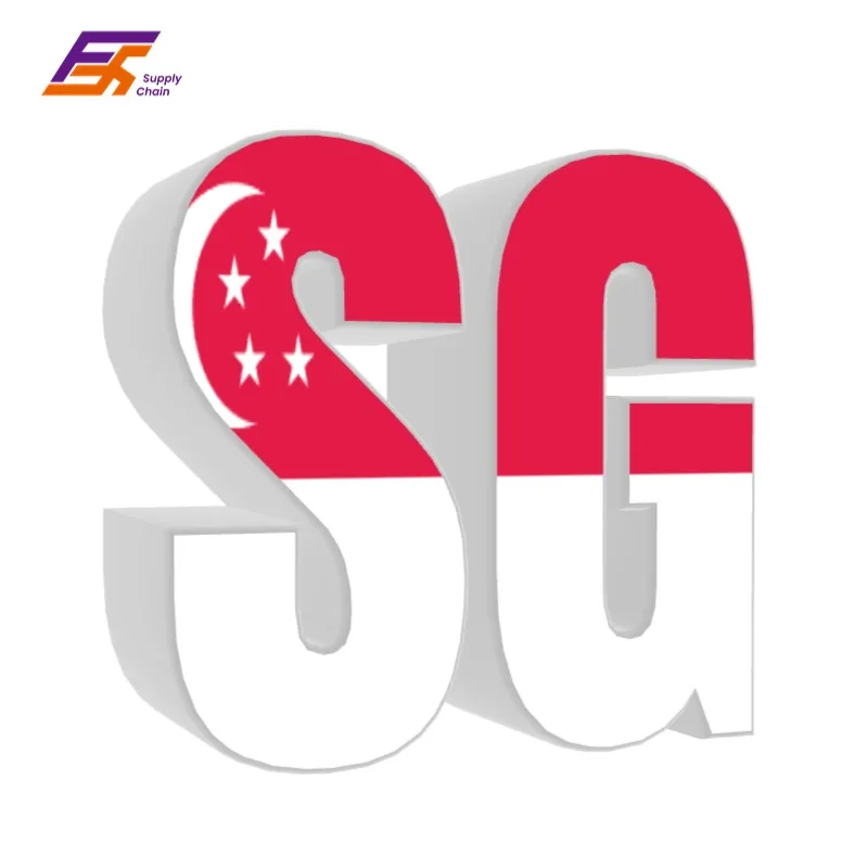 Professional Logistics DDU Sea Shipping Service Delivery Drop Shipping Agent China to Singapore Special Transportation Logistics