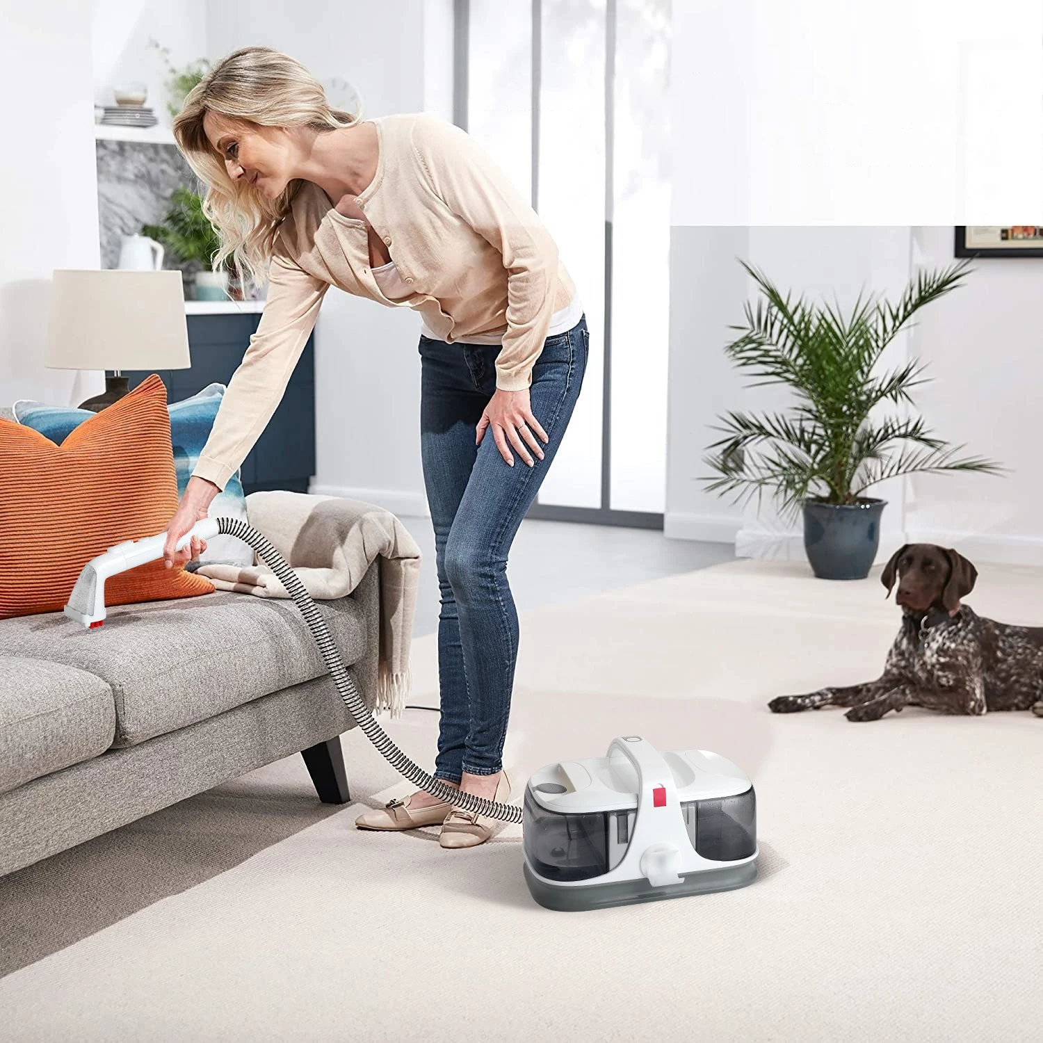 Carpet vacuum cleaner Wet and Dry carpet water spray Spot vacuum cleaner