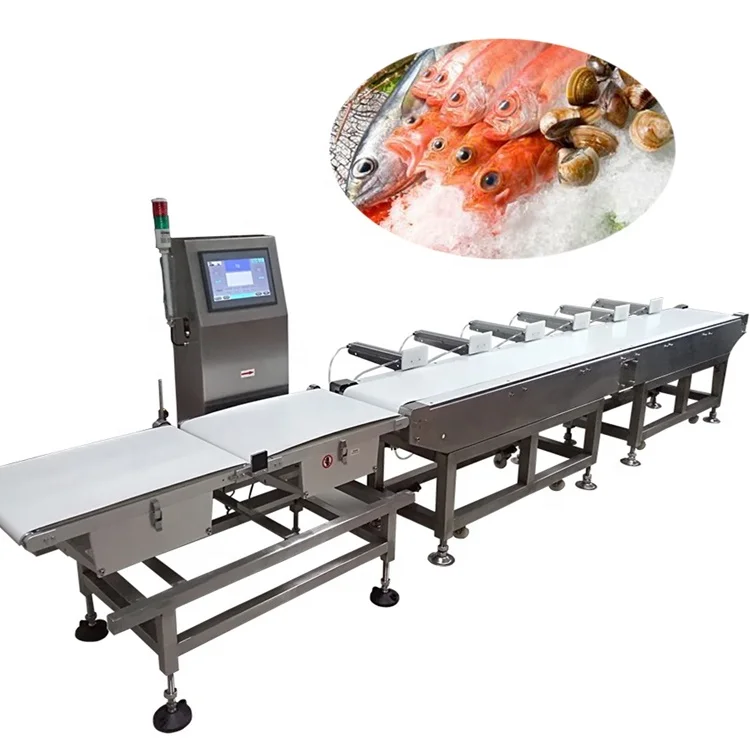 Tigers Full automatic grading machine for fish crab shrimp graded sorted equipment