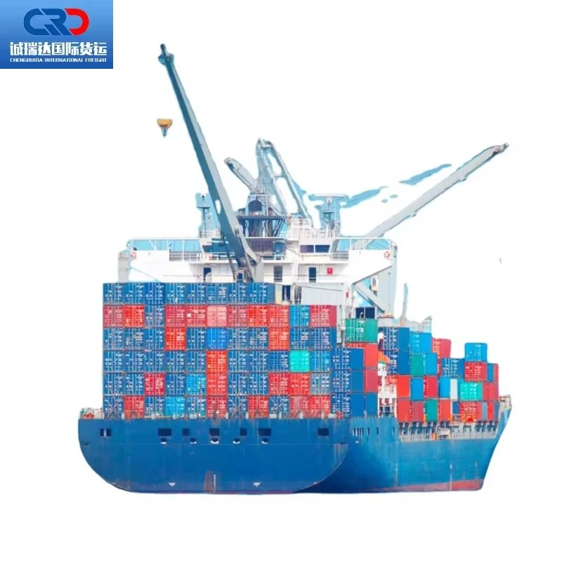 International Transportation Cargo Transport Logistics DDP Door to China Agent Sea Shipping From USA