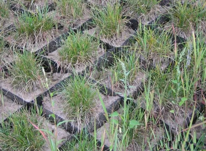 Sustainable Infrastructure Development Harnessing The Strength of HDPE Geocells 50-440mm 150-440mm Soil Control in Road