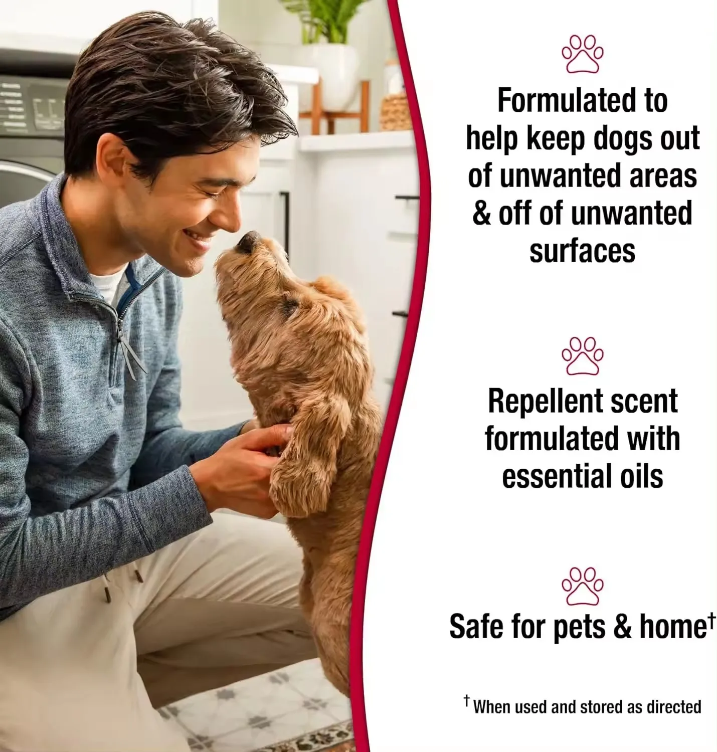 Safe Pet Anti Chew Bitterness Spray For Behavior Training Dog Stop Biting Spray