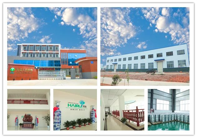 Wholesale bulk private label free sample pure natural organic geraniol oil 10 ml for flavor and fragrance