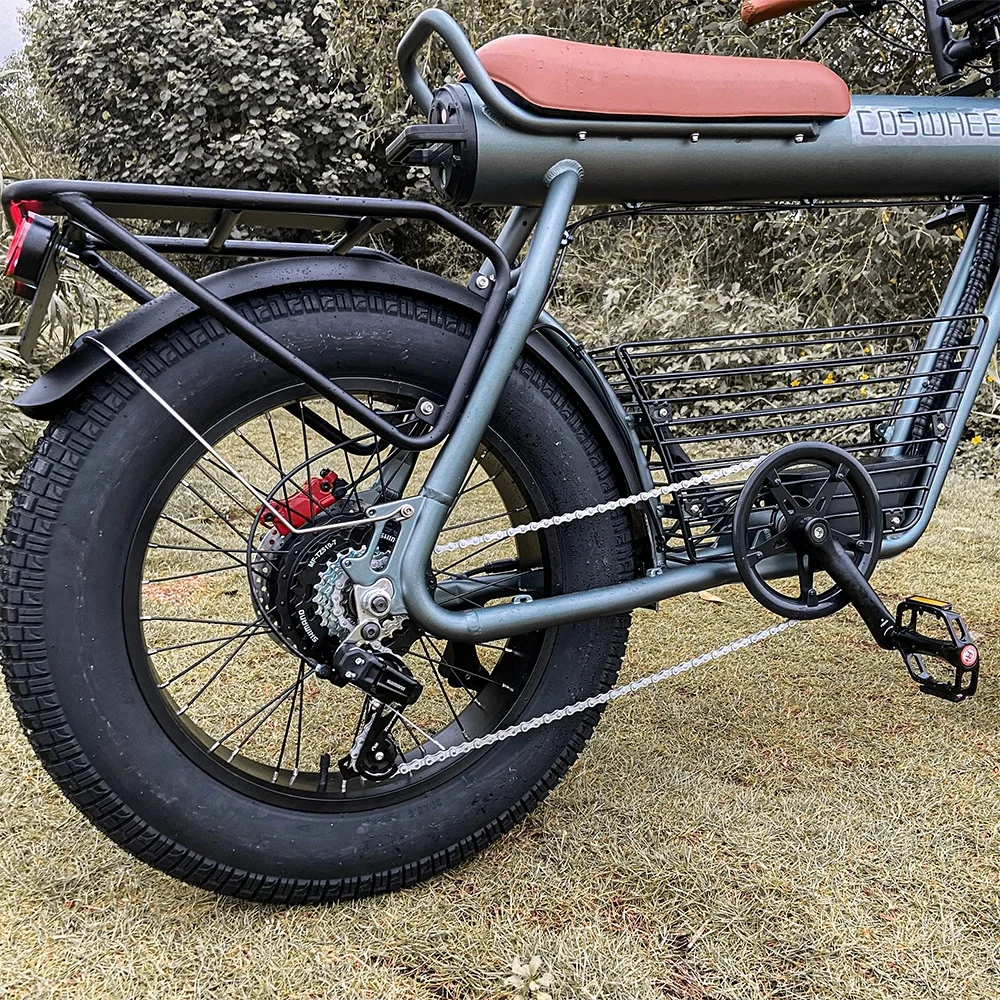 3 Seat 25/30Ah High Power High Quality 20Inch Fat Tire 1000W 1500W Electric Big Bike Ebike Hydraulic Brake Electric City Bicycle