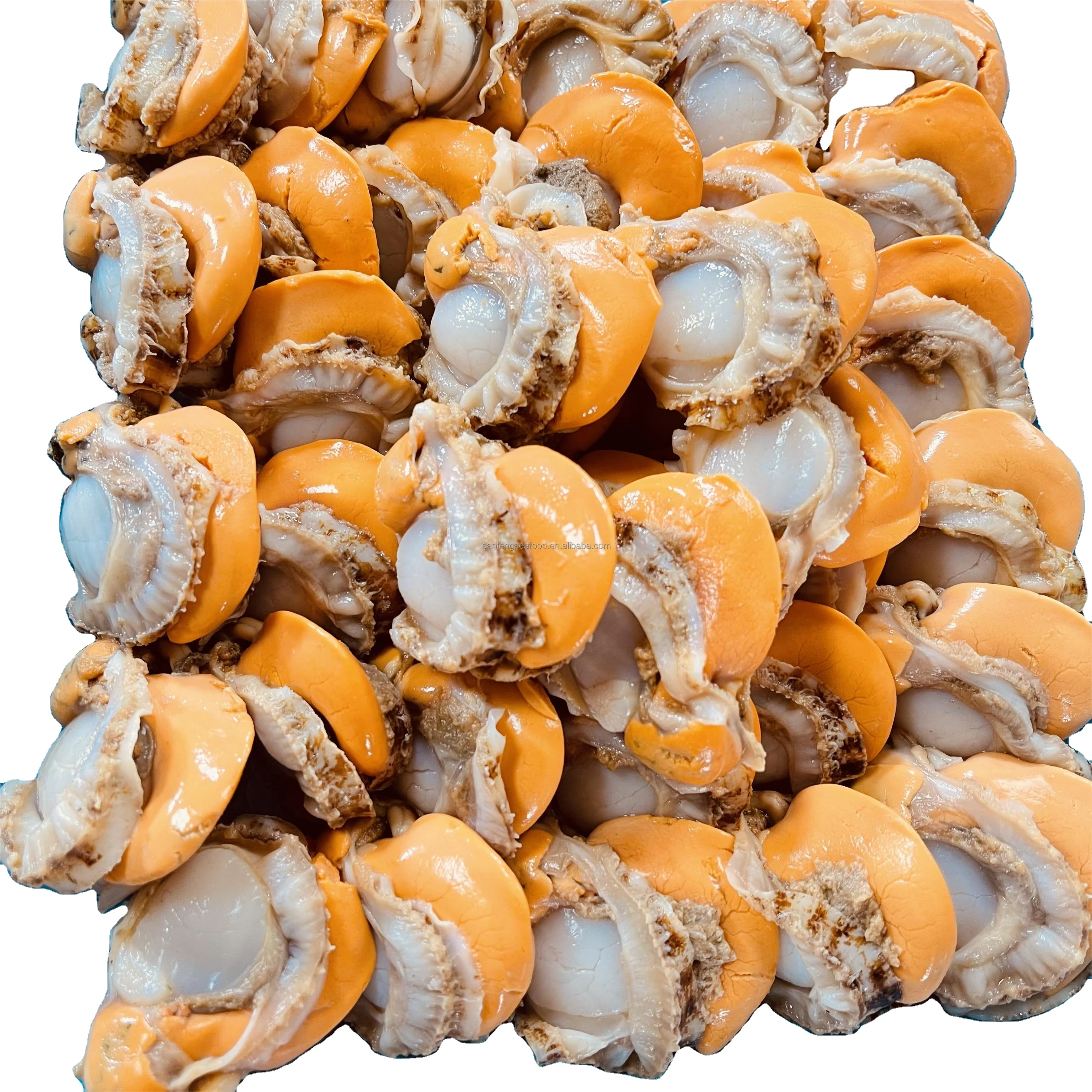 Hot Selling Delicious Seafood Frozen Sea Scallop With Half Shell For Sale