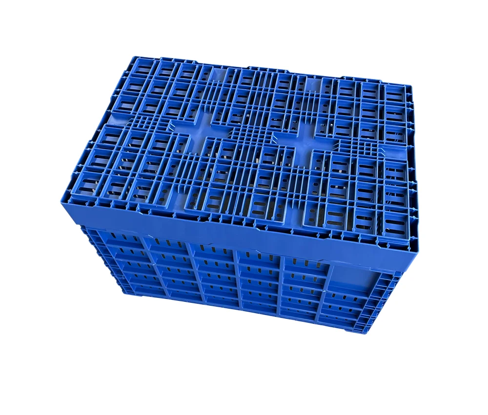 Foldable reusable 600x400x400 mm mesh type crate plastic storage crate for fruit and vegetable transport