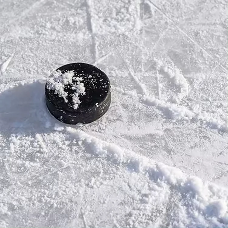 Custom Design Wholesale High Quality Standard International Ice Hockey Game Puck
