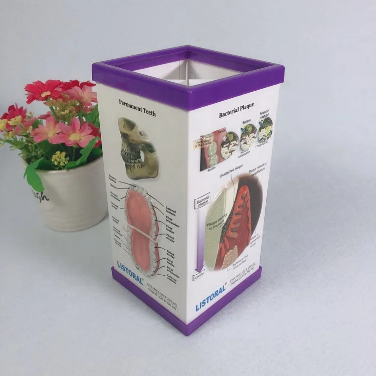 customized 3D plastic PVC pen holder 3D embossed pen holder for Medical promotional gifts