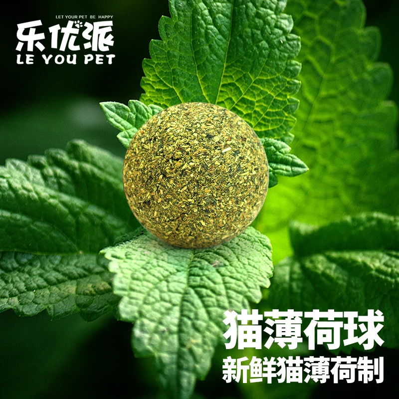 
Leyou Pet mint ball nip toys 