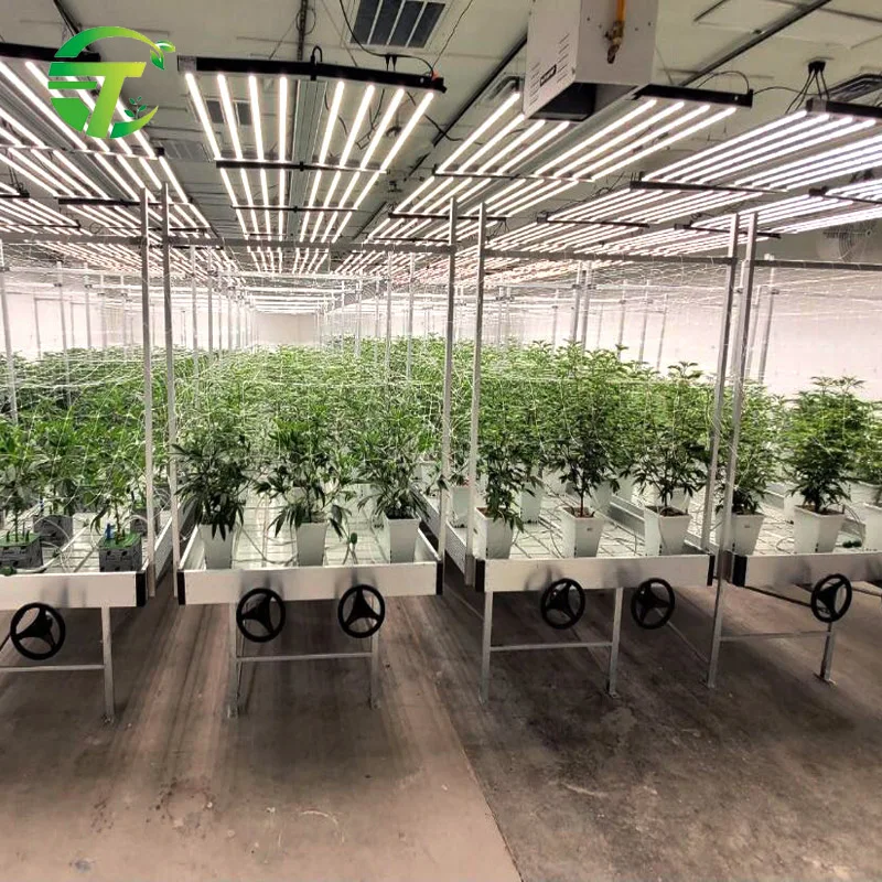 Greenhouse hydroponic system 4ft by 8ft rolling growing table ebb and flow flood ABS bench