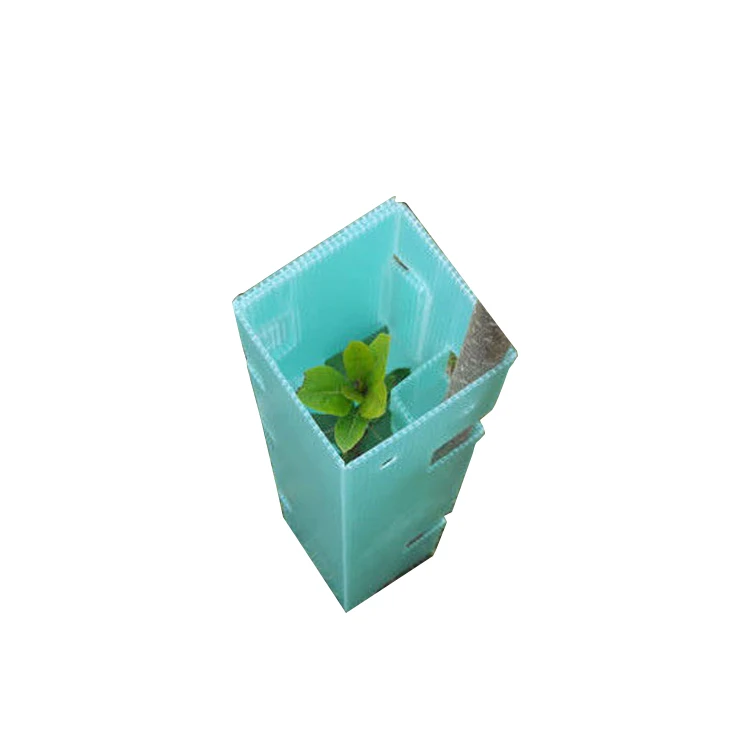 wholesale  high quality  PP Plastic Corflute Tree Guard Plastic Tree Protector