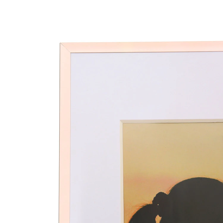 Metal Wall Simple Pink Picture Photo Frame With Mat Table Home Decoration