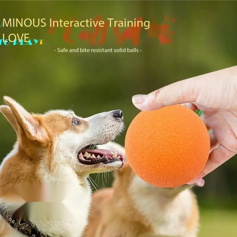 2023 TPR Solid Ball Rubber Elastic Ball Pet Chew Toys Customizable Eco Friendly Pet Chew Interactive Toy Dog
