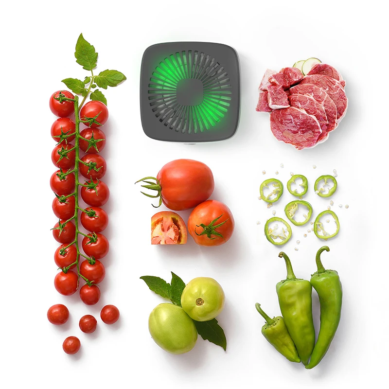 Portable Small Food Cleaning Machine Vegetable Washing Household Fruit and Sterilizing Sterilizer