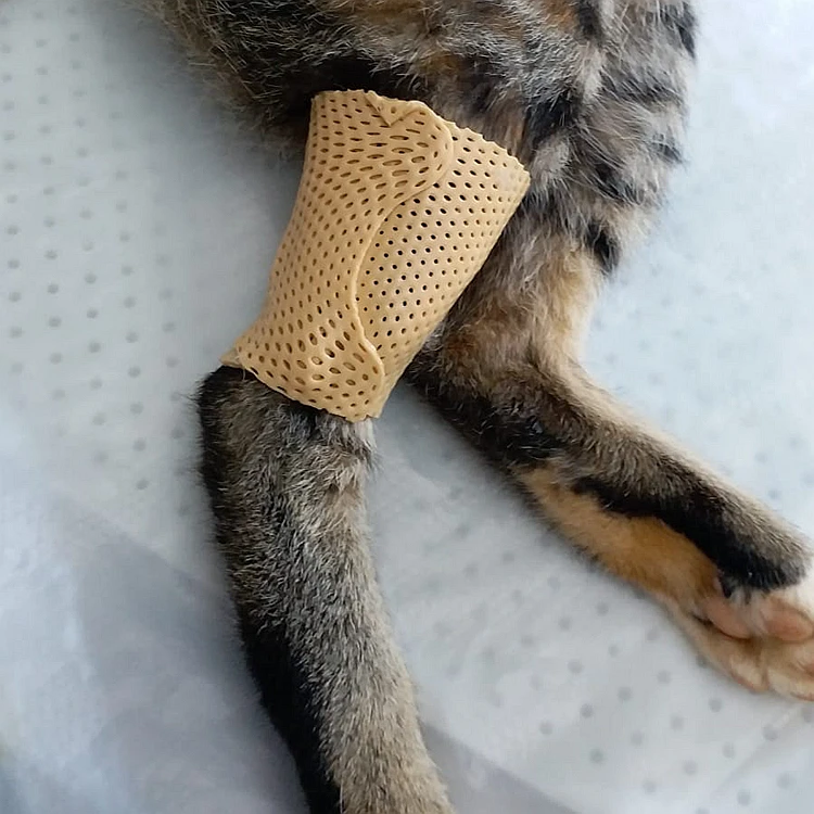 splint for pets