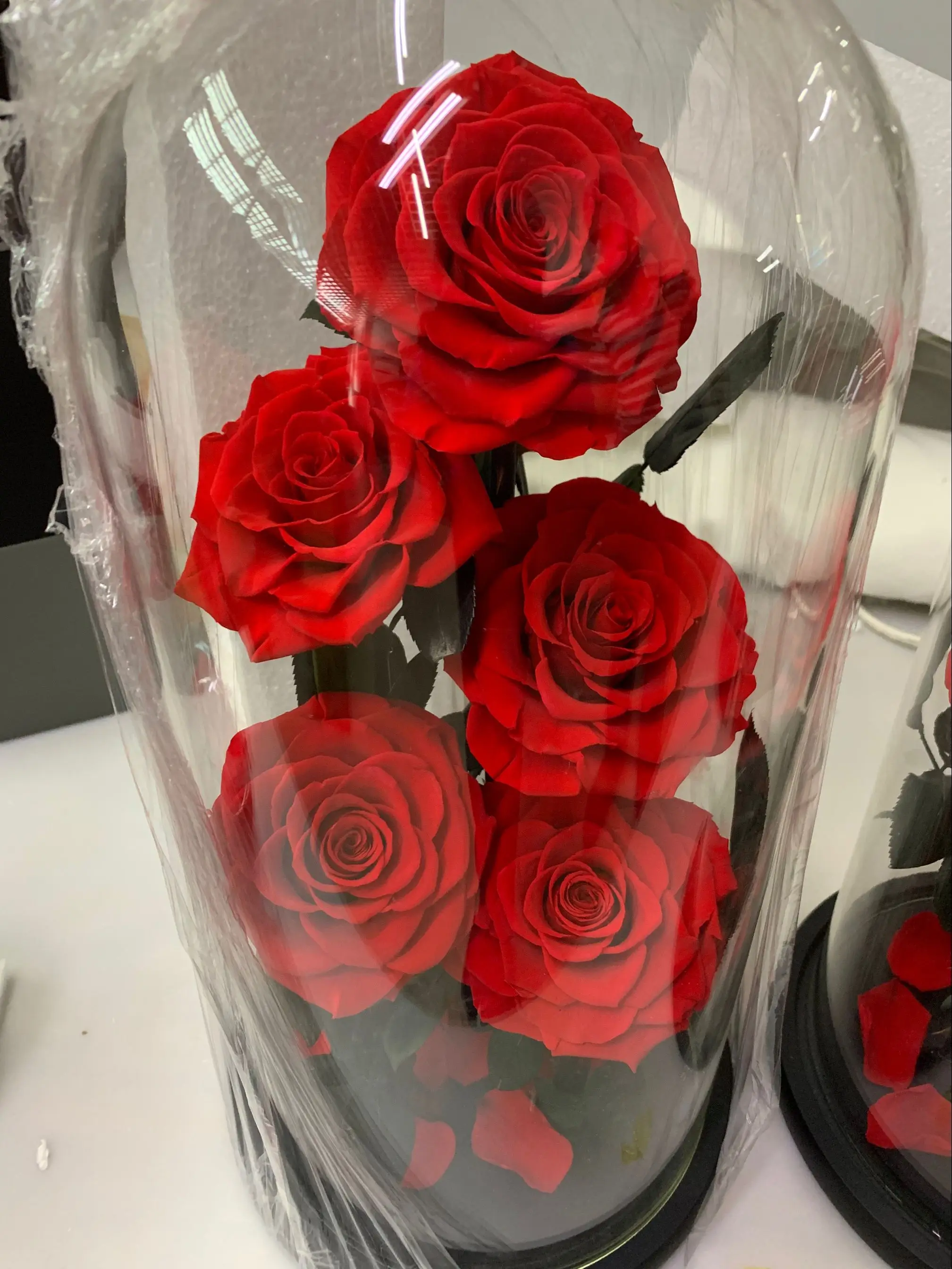 Large preserved flower rose in glass bottle and shell