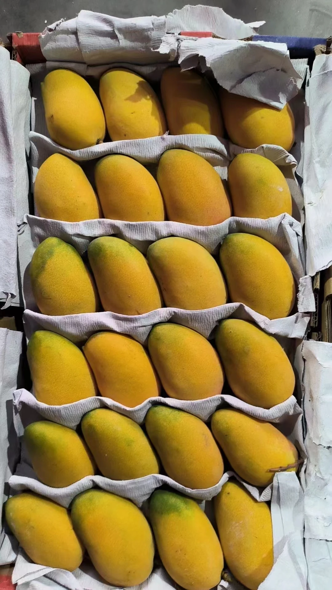 Sweet Juicy High Quality Wholesale Fresh Mango Fruit Hot Sale Seasonal Fruit from China