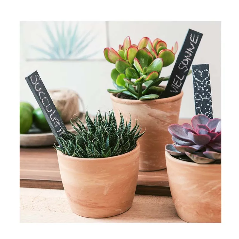 Natural Black Slate Laser Letter Flower Plant Labeling Tag with Writing Chalk