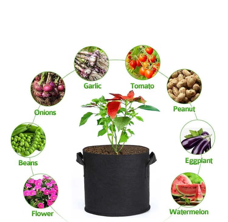 New arrivals handmade biodegradable vegetable blueberry felt grow bags grow mushroom container