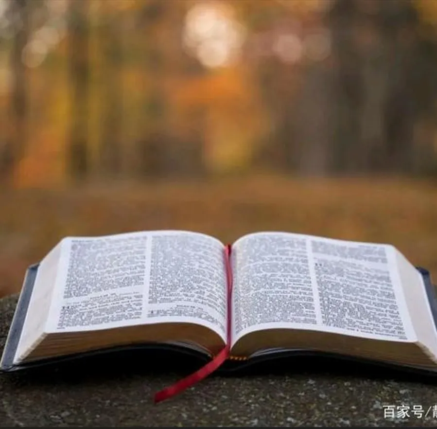 Высококачественная тонкая печатная бумага для религиозных публикаций, словарников и фармацевтических вставок