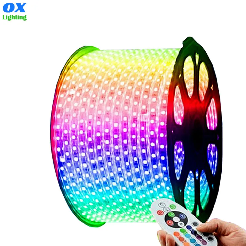 110v 220v Rgb Strip Light Remote Control Outdoor Waterproof 5050 Colour Change 220v RGB Led Strip Tape Tiras