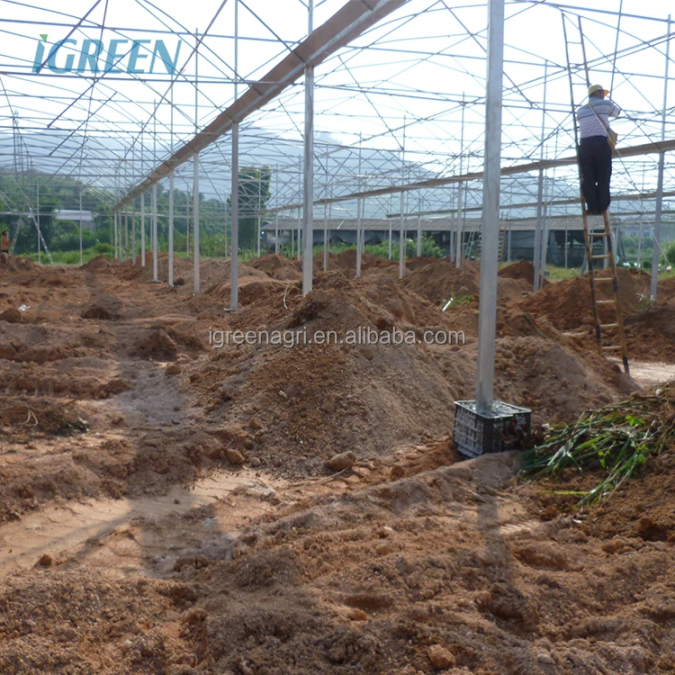 30 X 100 Greenhouse Greenhouses for Vegetable Garden Chinese Greenhouse Kit Customized Film Large Green House Metal Frame 4m--7m