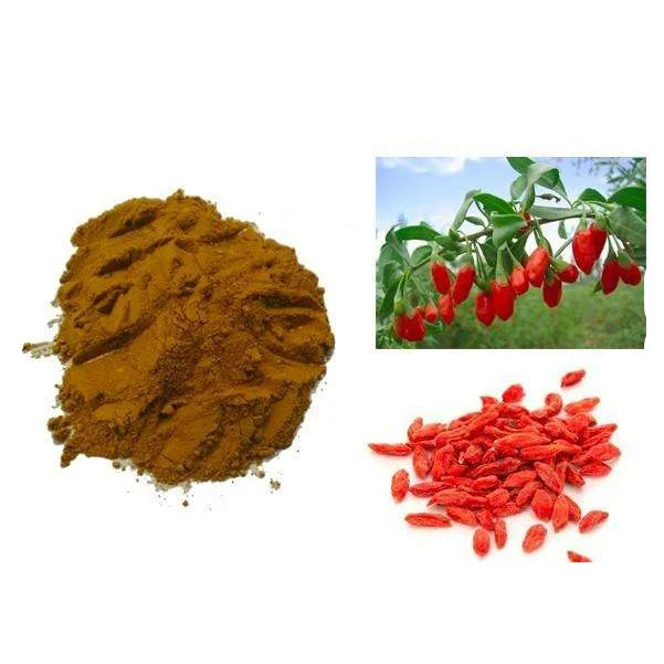 Wholesale Organic Goji Berry Extract Powder Red Wolfberry Supplement Fruit Extract Food Grade GMP Certified Packaged in Bag Drum