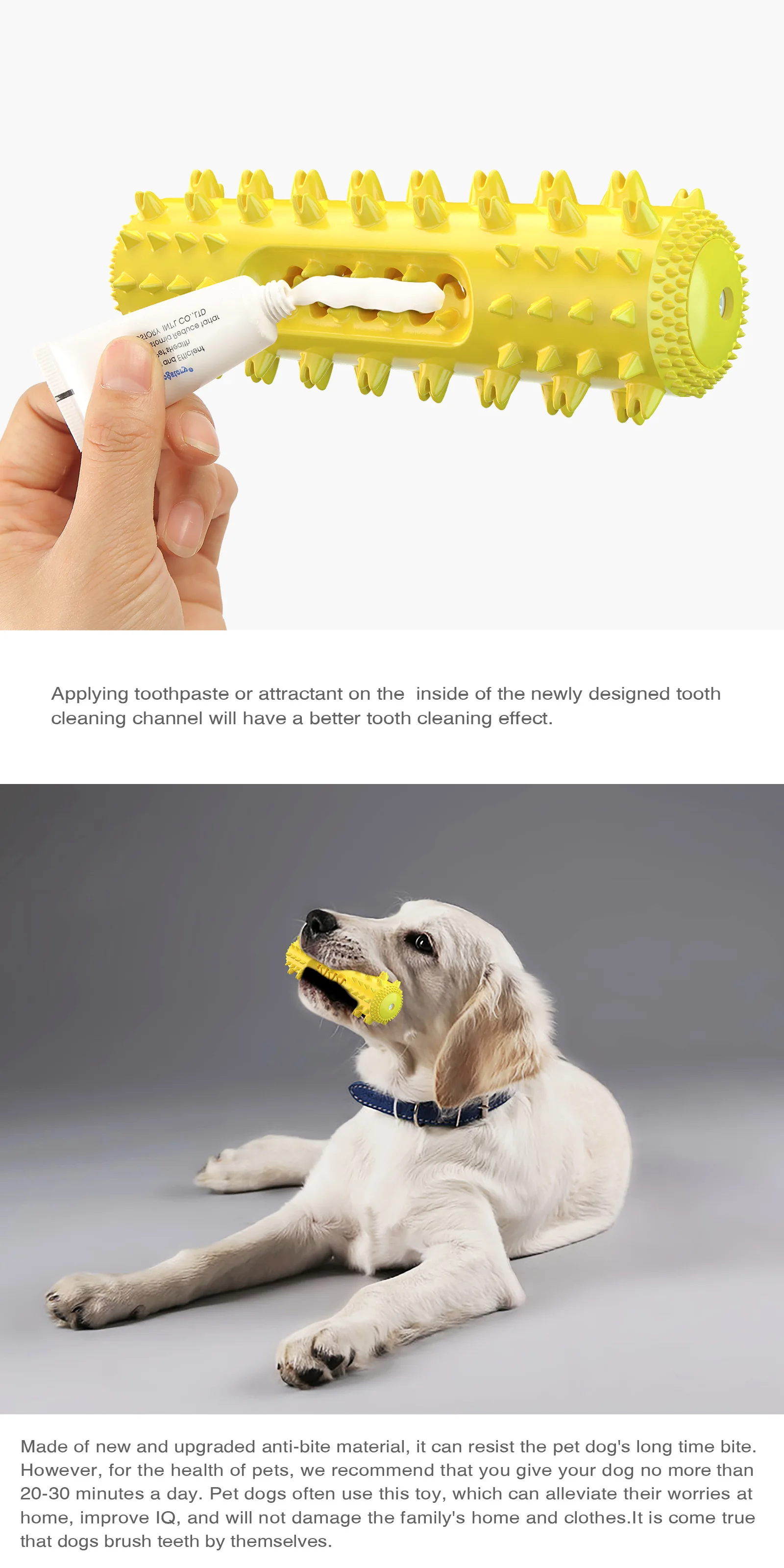 Interactive Toys Cute Funny Dental Care Dog Toothbrush Chew Toy,world voyager-12, dog toothbrush toy, dog toothbrush chew toy, chew toothbrush dog toys