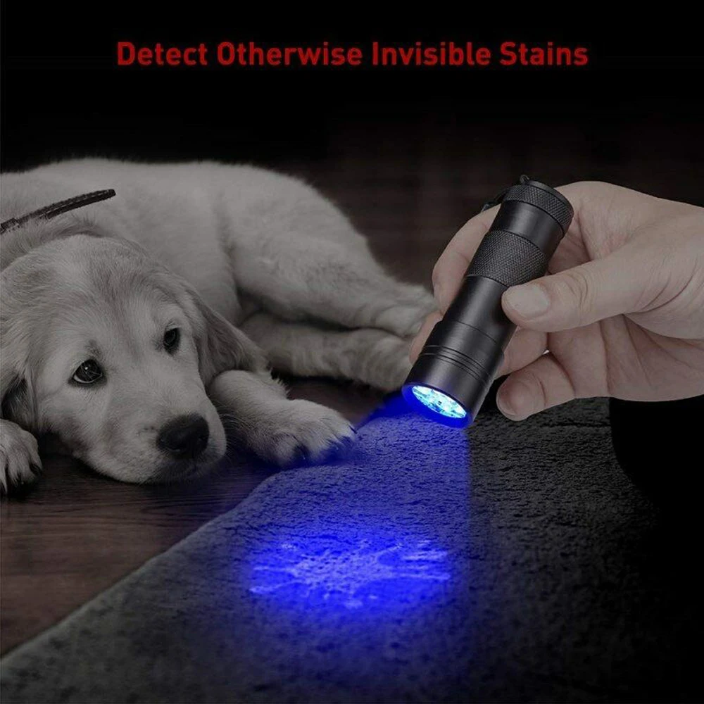 Currency Detector UV flashlight 12LED mini size Ultraviolet flashlights torches 395nm find scorpion Urine & Bodily flashlights