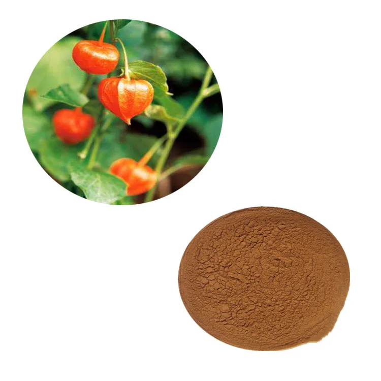 
Hot Selling Ashwagandha Extract 5% Withanolides Ashwagandha Extract Powder 
