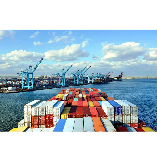 Sea Freight Forwarder DDP Door to Door Fast Logistic Service Sea Agent Shipping From China To NL/LU/CZ/PL/BE track a parcel