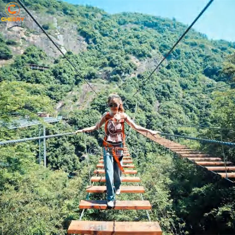 Пользовательские горное живописное место на открытом воздухе приключение курортное парк развлечений стеклянный приключенческий мост