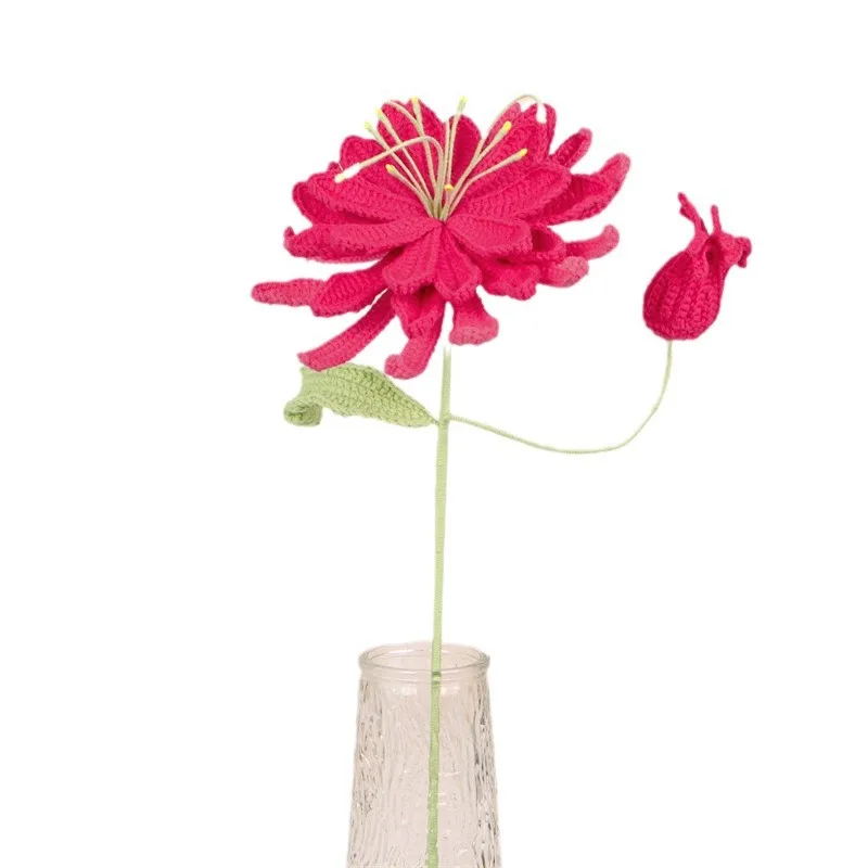 2024 Finished Crochet Flowers Wind Hyacinth hand knitted flower  Handmade Woven Flower Home Decorations