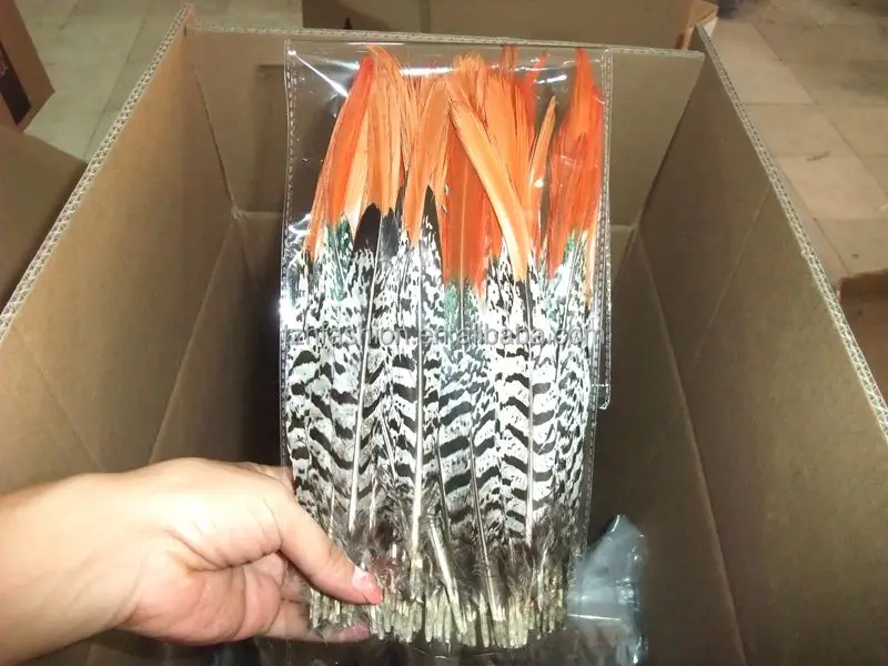 4-6 inch , 6-8 inch , 8-10 inch Natural Red Golden Pheasant Red Tip Loose Pointy Feathers