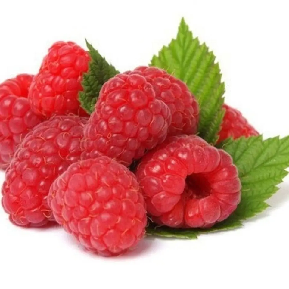 IQF Organic Whole Sweet Raspberries Bulk Frozen with Cube and Ball Patterns Carton Packaging