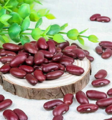 High Nutritious Red Beans Cheap British Red Kidney Beans for Sale