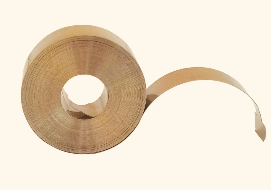 power spring of fan in Stainless steel extension spring power stretchable flat spiral spring for retractable belt barrier