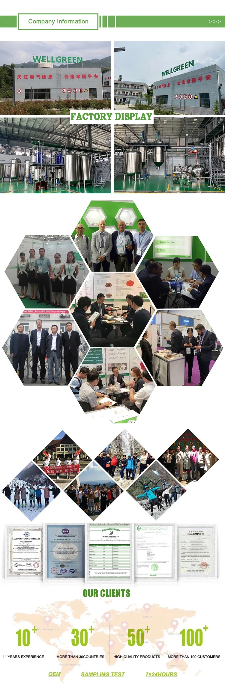 Company information.png